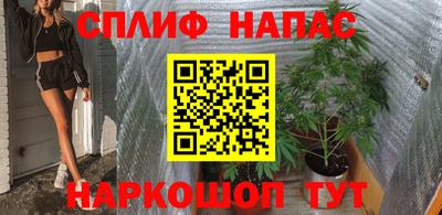 скорость Новозыбков