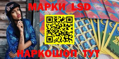 скорость Новозыбков