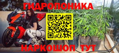 гашиш Новокубанск