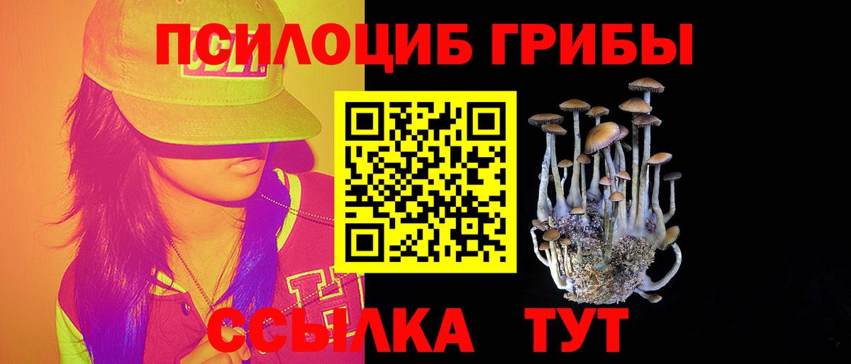 Галлюциногенные грибы Magic Shrooms Полевской